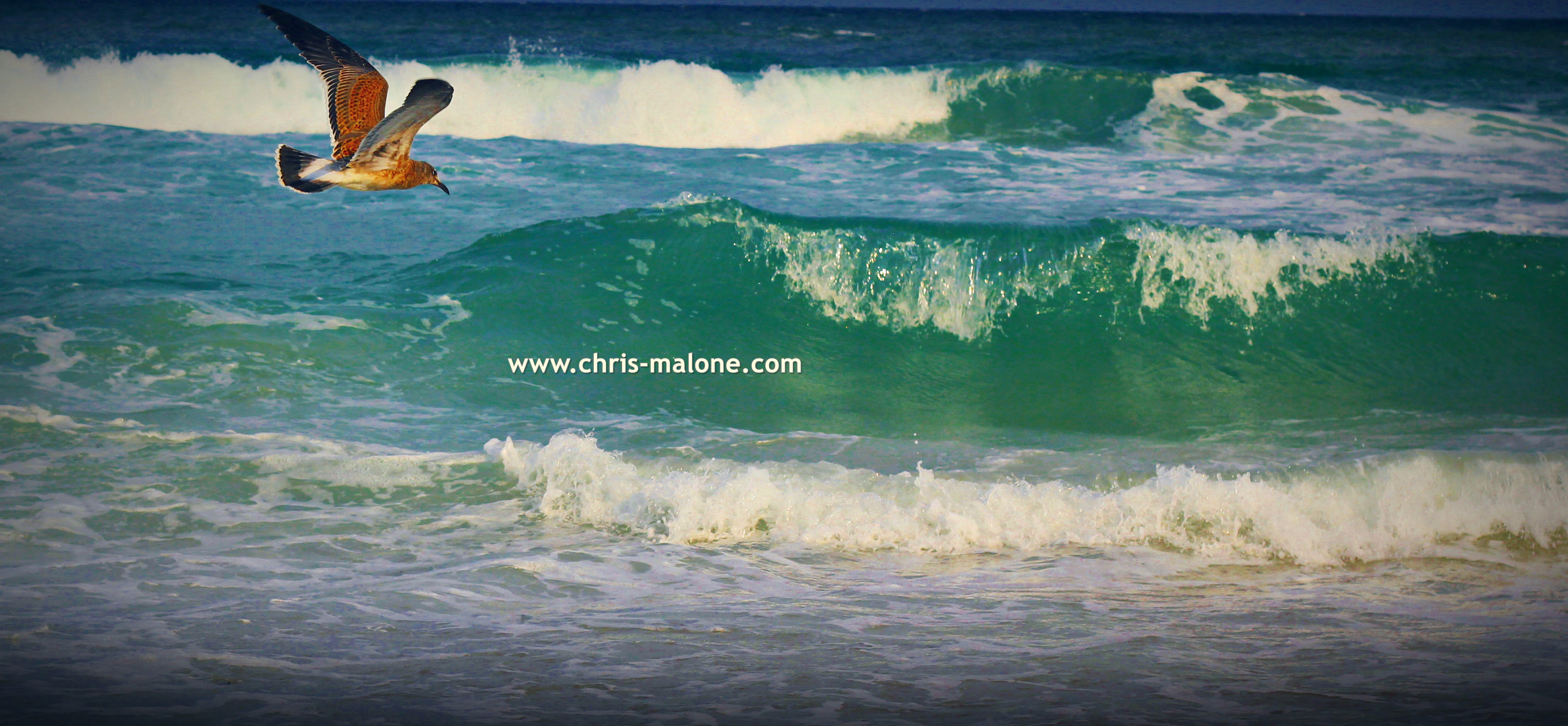 Flying over the Atlantic- Wrightsville Beach