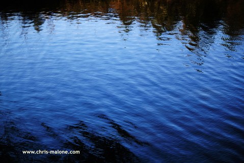 On the water in Raleigh- Lake Johnson
