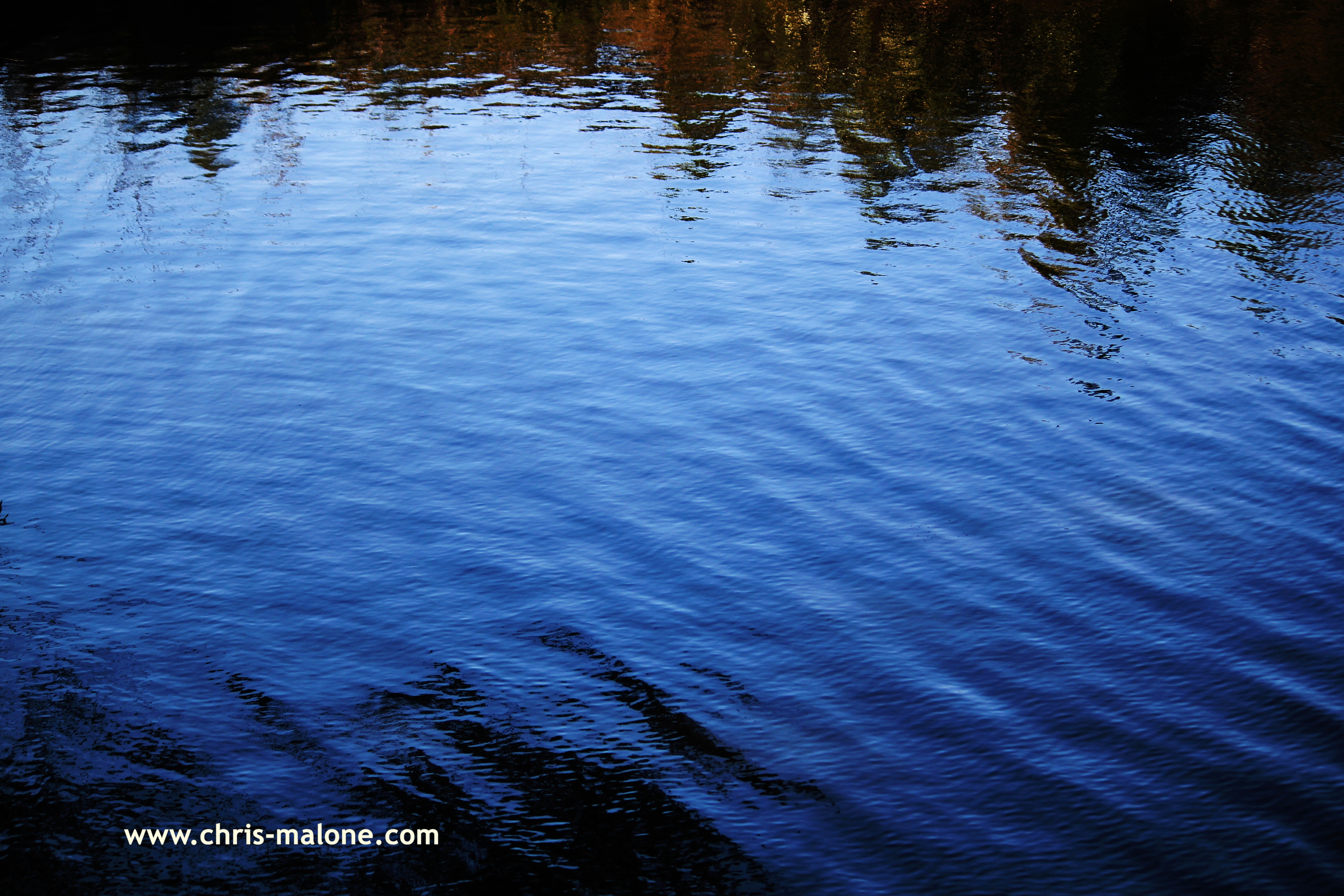 On the water in Raleigh- Lake Johnson
